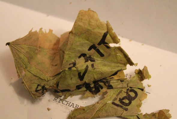 Resourceful thinking